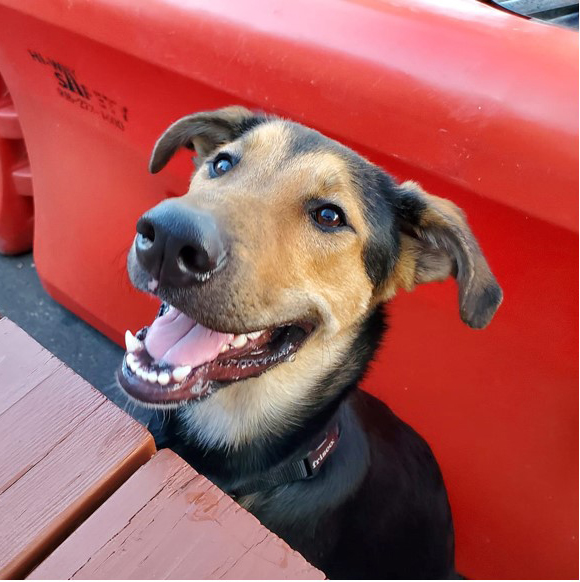 Eddie
